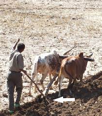 Auberge Kasbah Amoun