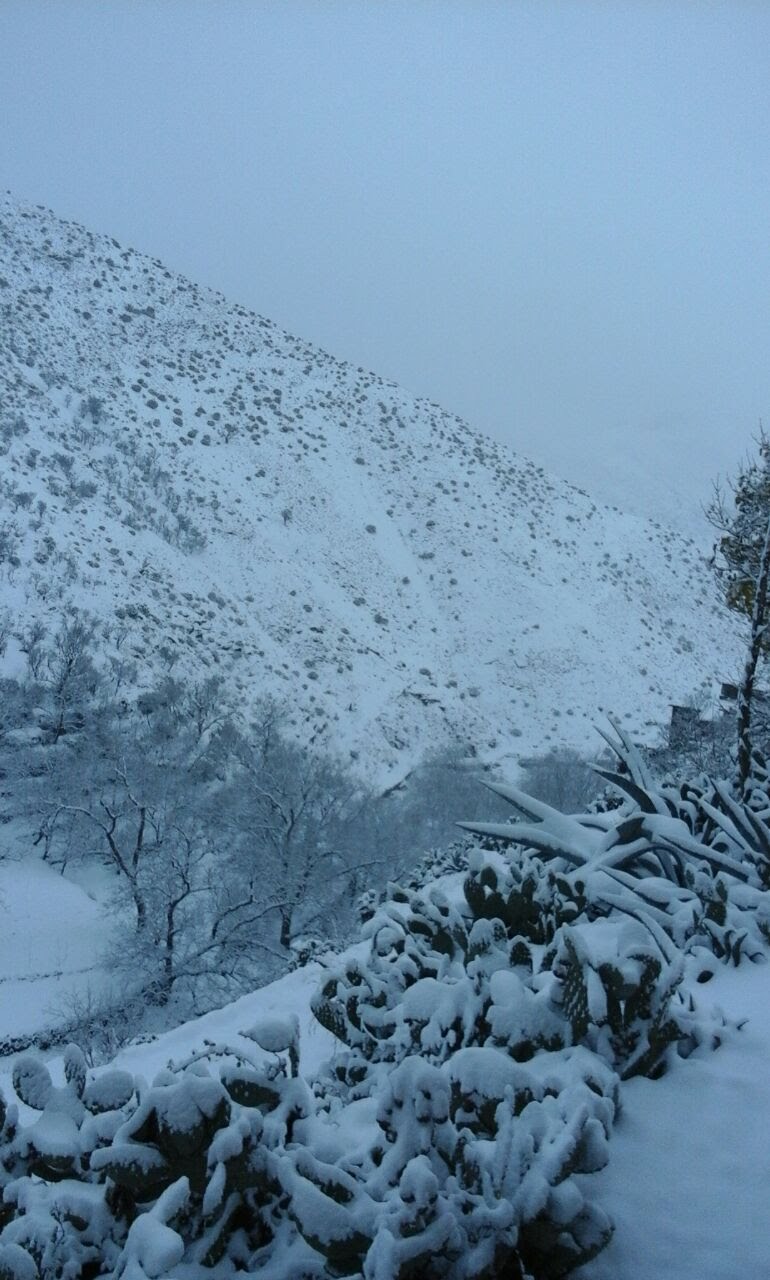 Auberge Kasbah Amoun